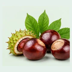 Horse chestnuts